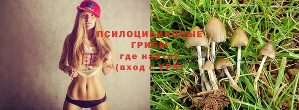гашиш Волосово